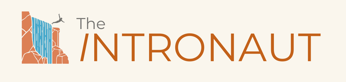The Intronaut wordmark