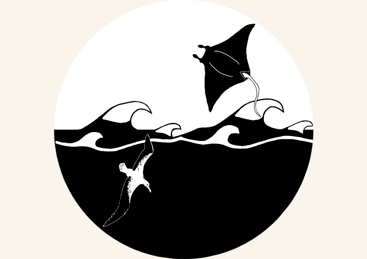 Albatross_and_MantaRay